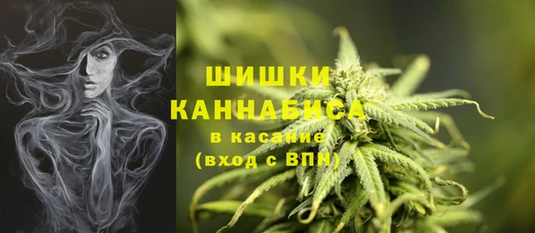 2c-b Коряжма