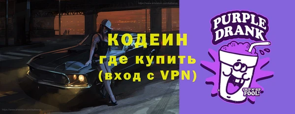 хмурый Корсаков