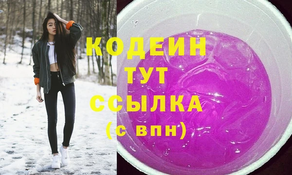 хмурый Корсаков