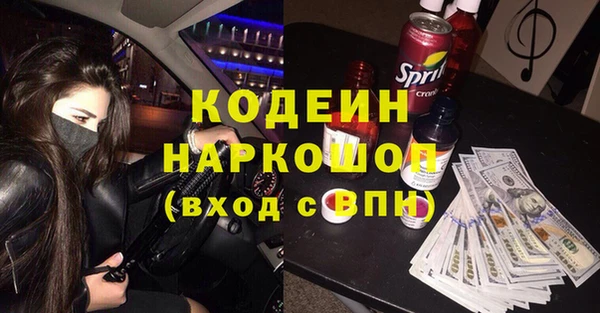 хмурый Корсаков