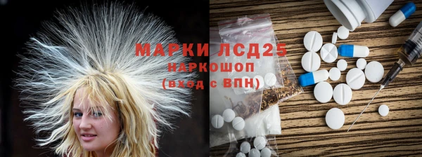 хмурый Корсаков