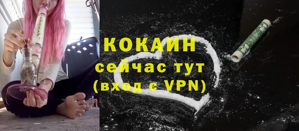 хмурый Корсаков
