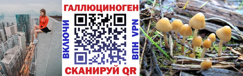 Купить где  Боровичи  Галлюциногенные грибы ЛСД 